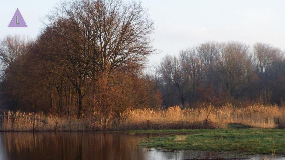 wandelen door natuurgebieden rondom Ell 