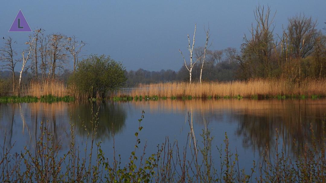 natuurgebied De Kwegt in Midden-Limburg