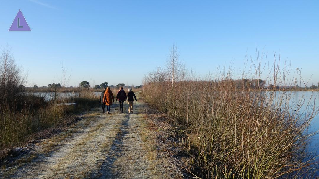 wandelaars in Nationaal Park de Groote Peel