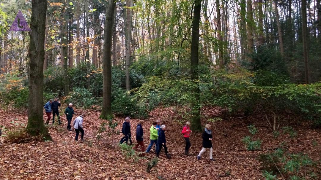 Herfstwandeling in Nationaal Park De Meinweg