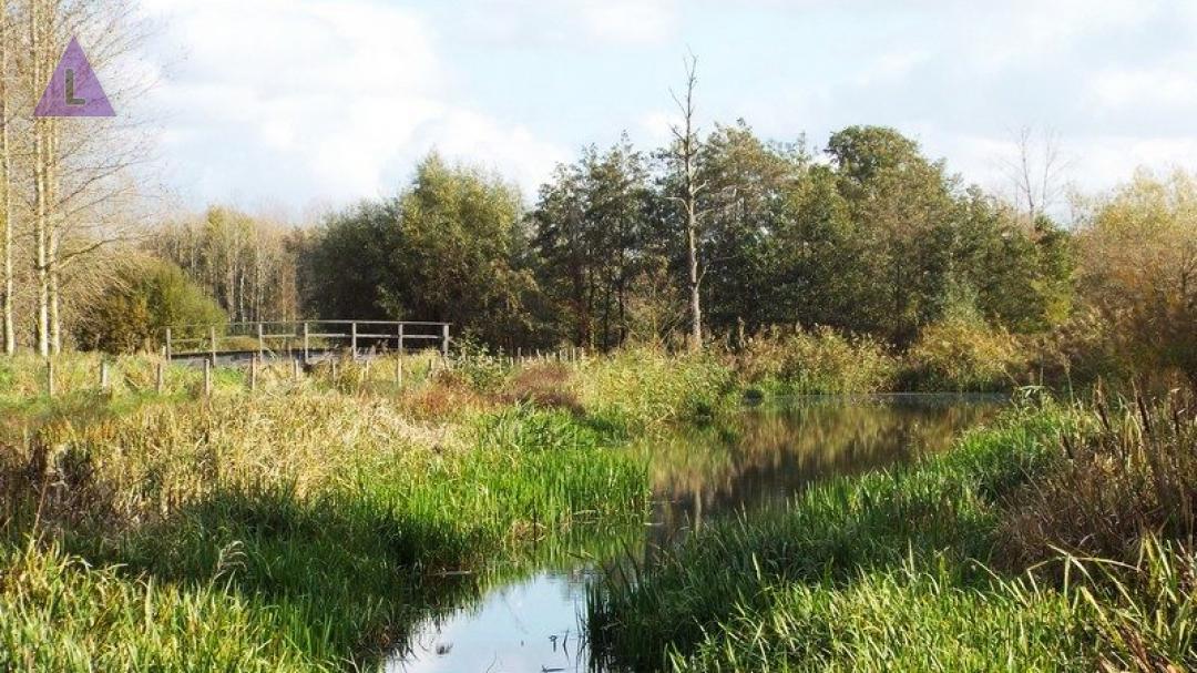 Wandeltip - door het Mariahof bij Stramproy